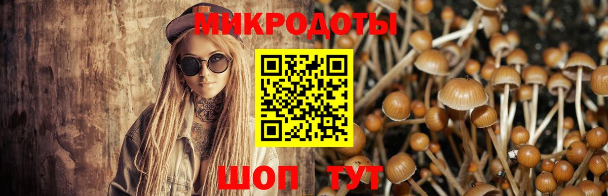 Новоуральск  Галлюциногенные грибы Psilocybine cubensis  Вход с VPN 